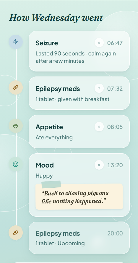 A day in Felova's timeline: a seizure logged at 06:47 lasting 90 seconds, epilepsy medication given at 07:32, appetite and mood entries through the day, and the next dose due at 20:00.